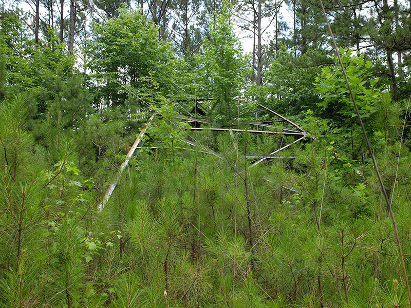 Eldridge Lookout remains (Andrew Zerbe photo)