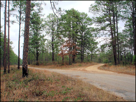 Current approach to lookout site