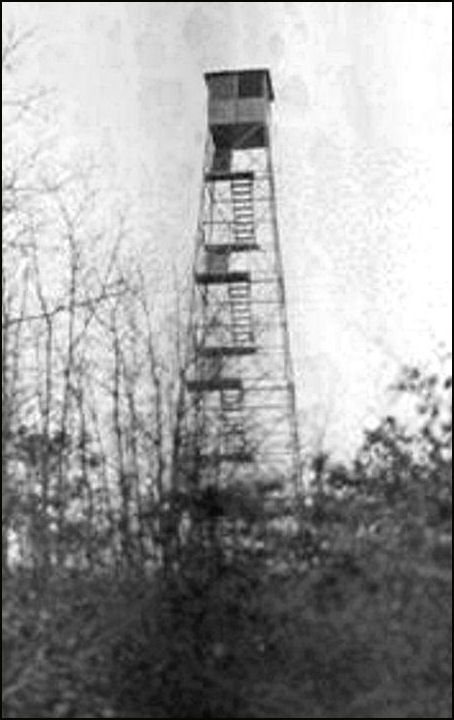 1918 NY State Archives photo