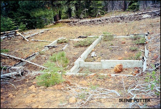 Site on June 3, 2002
