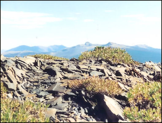 Baldy Mountain lookout site