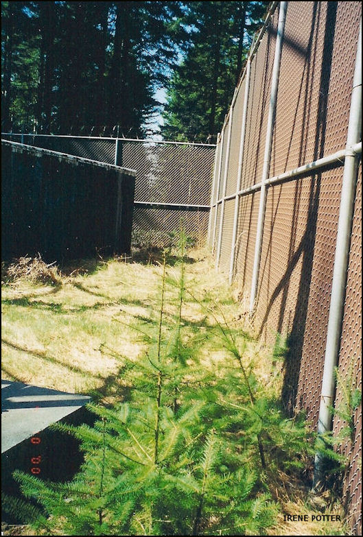 Area between two fences on site