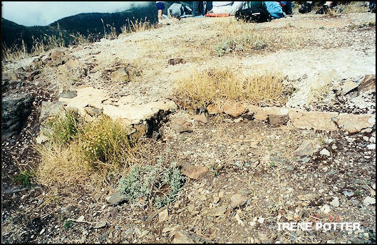 Leftover concrete foundation pieces 9-19-2000