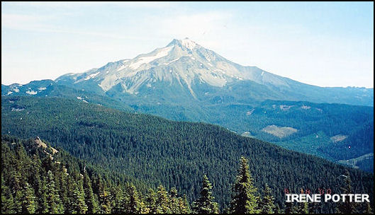 View of Mt. Jefferson from site