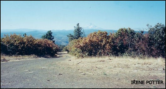 View of Mount Hood in distance 9/28/2003