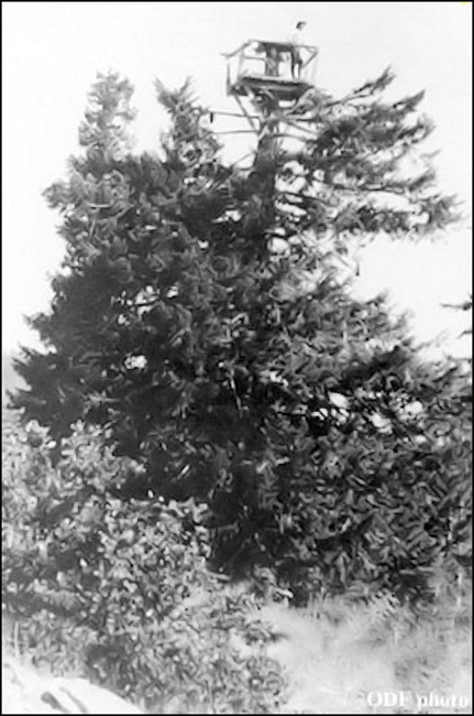 Crow's nest in 1916