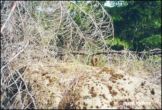 Eyebolt in boulder 7/26/2000