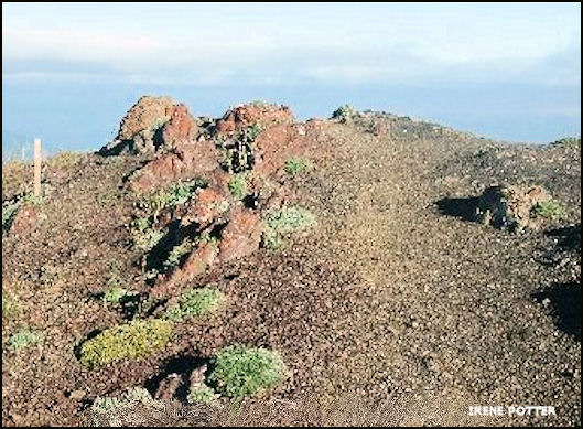 Site where lookout stood 9/2/2004
