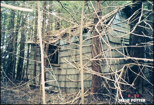 Cabin being torn apart by trees 7/8/2000