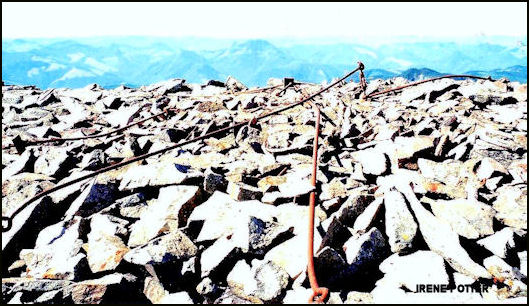 View of Mount Ranier