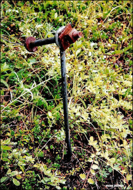 Remnant September 2001