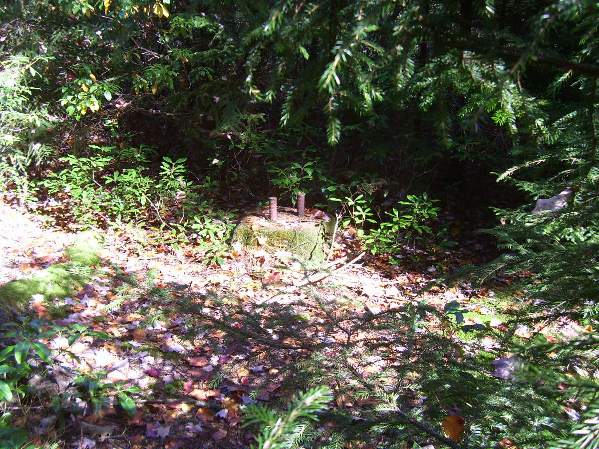 Footings in October 2008