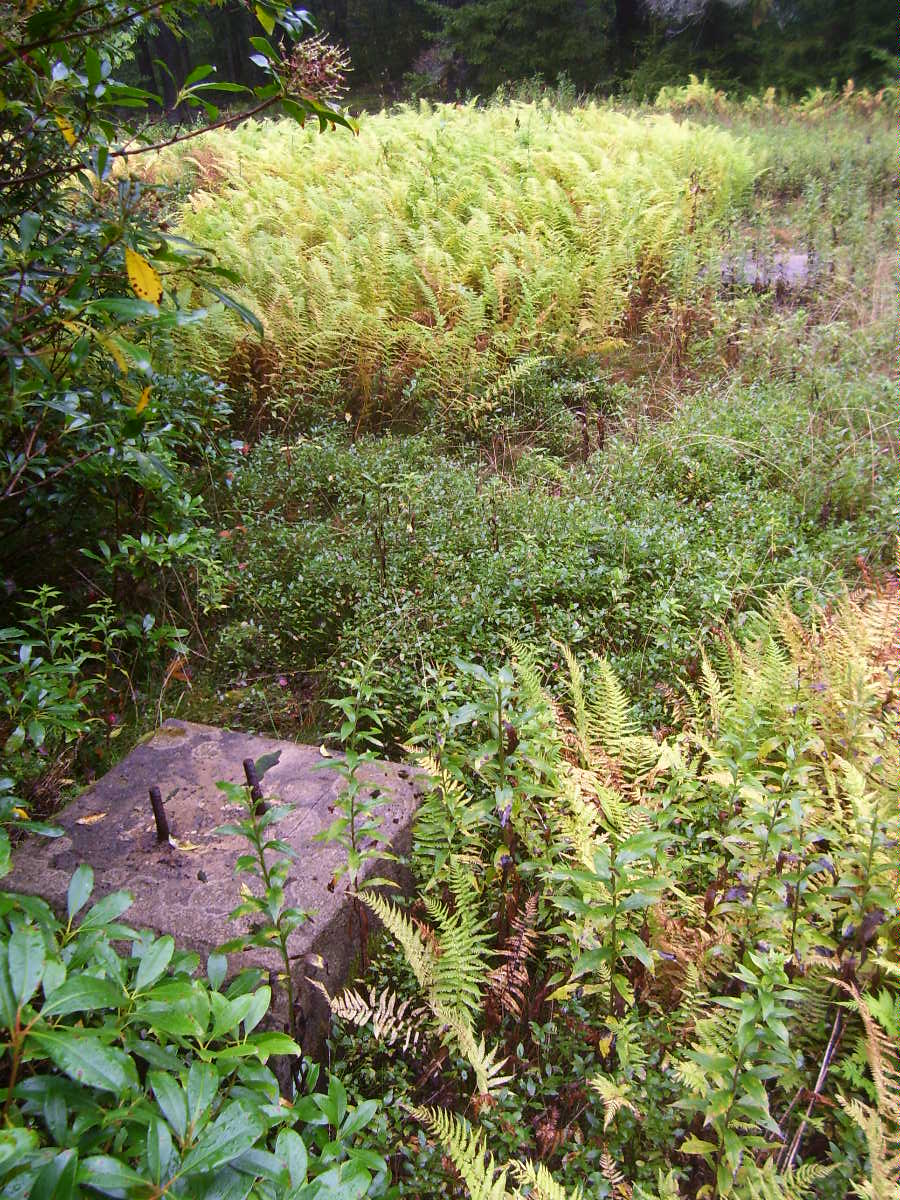 Footings in September 2008
