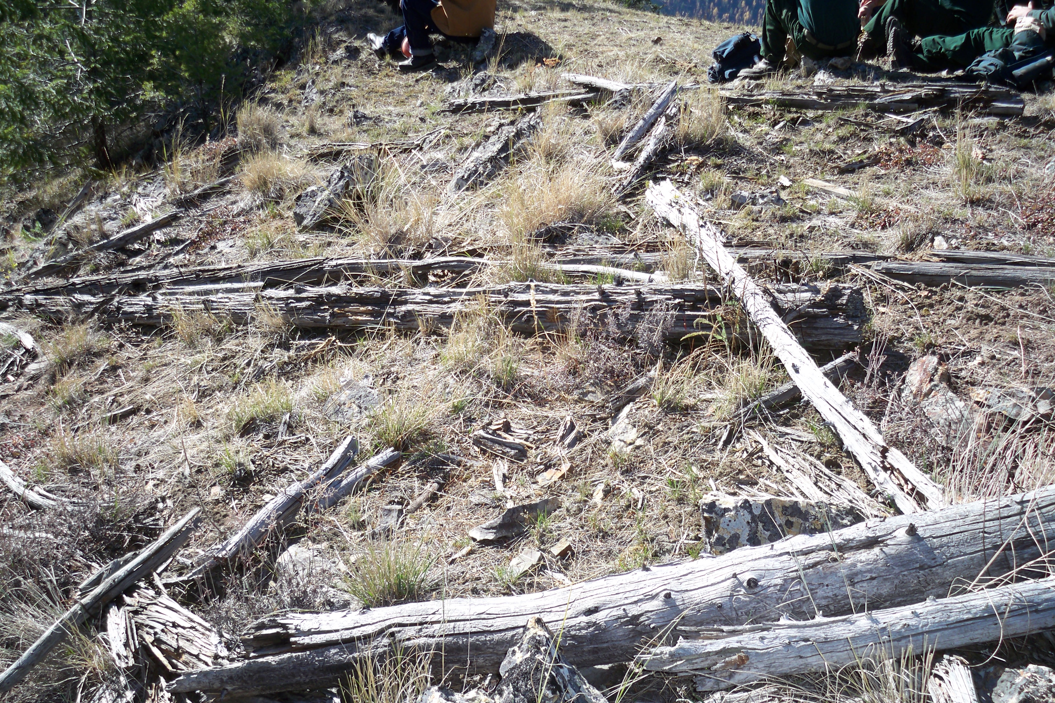 Platform Tower Ruins