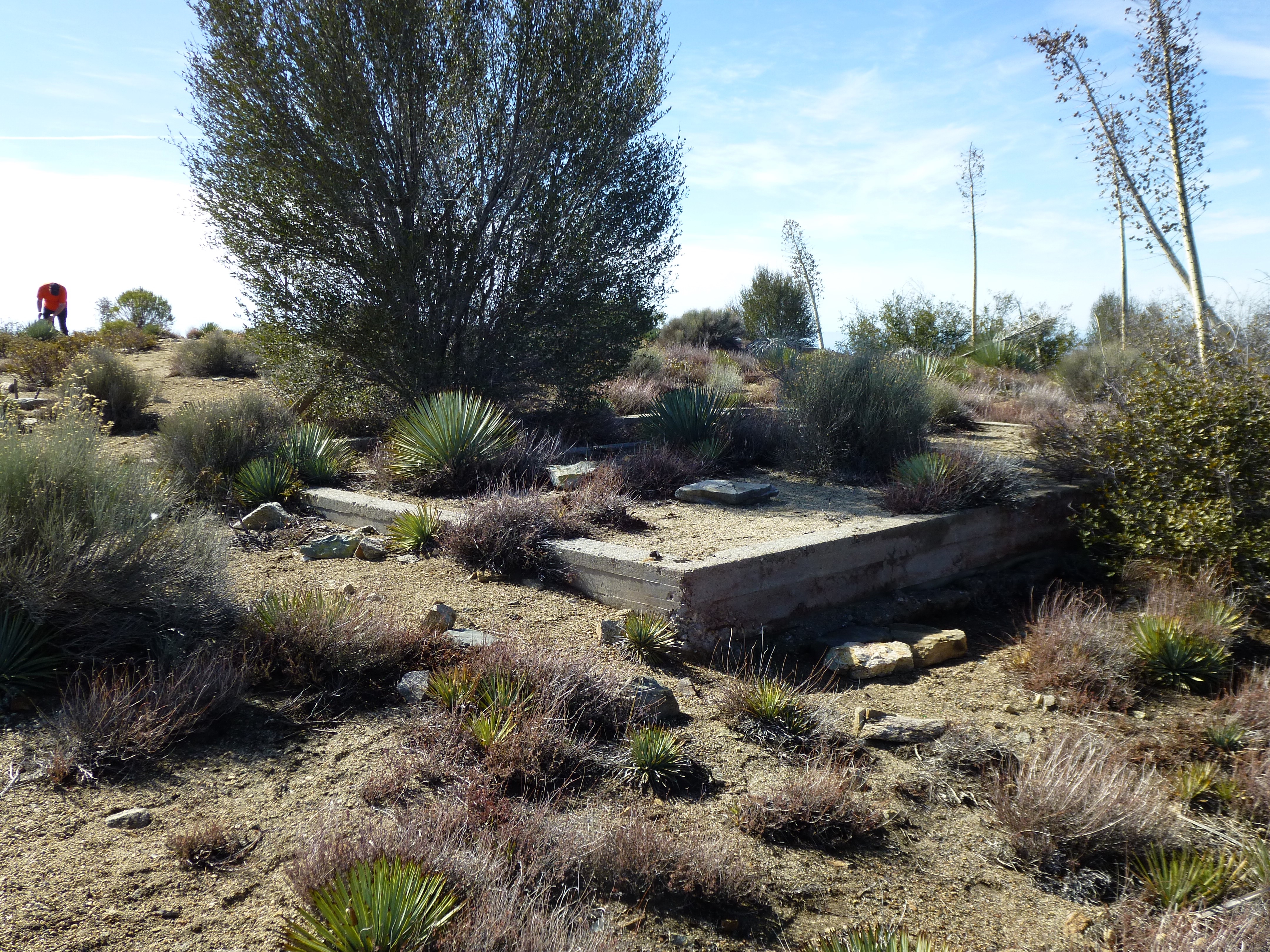 2013 photo of cabin foundation