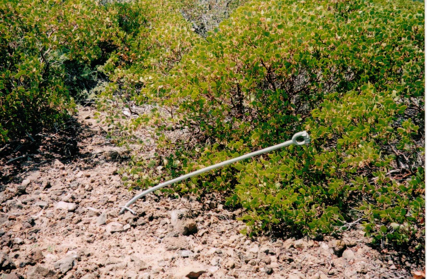 Finley Butte Lookout site 2007