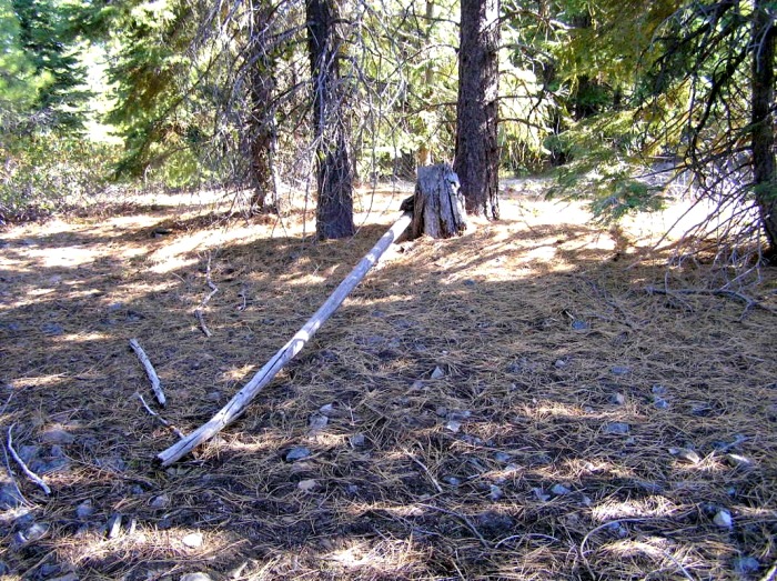 Quartz Butte Lookout site 2005