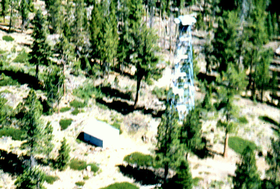 Shoestring Butte Lookout 1960