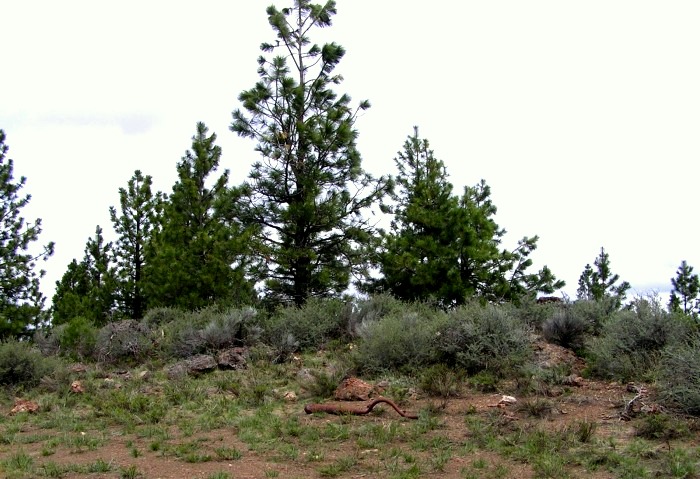 Sixteen Butte Lookout site 2006