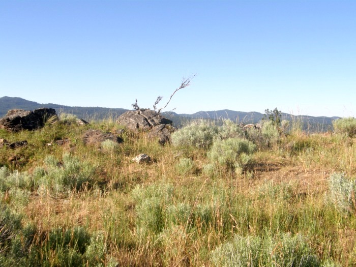 Crockett Knob Lookout site 2008