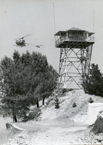 Topanga Lookout - 1969