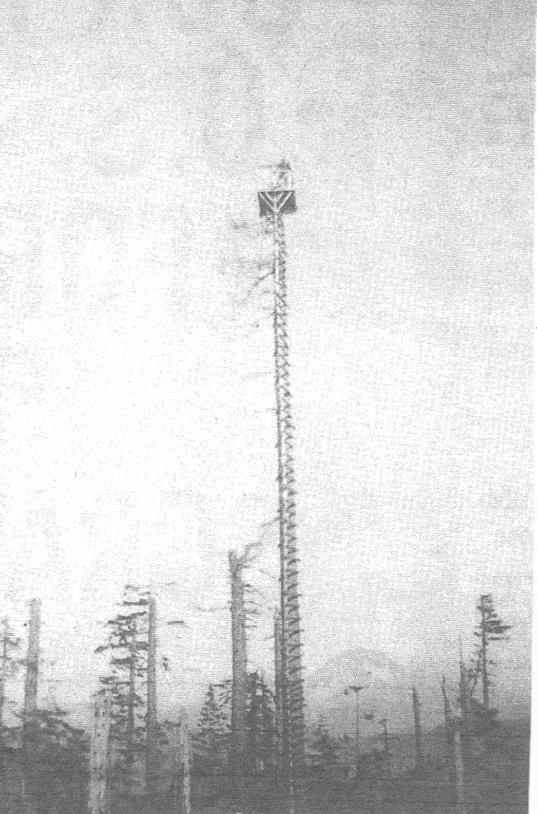 Aschoff Butte Lookout 1925 - 1935