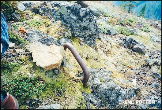 Dome Rock Lookout site 2000
