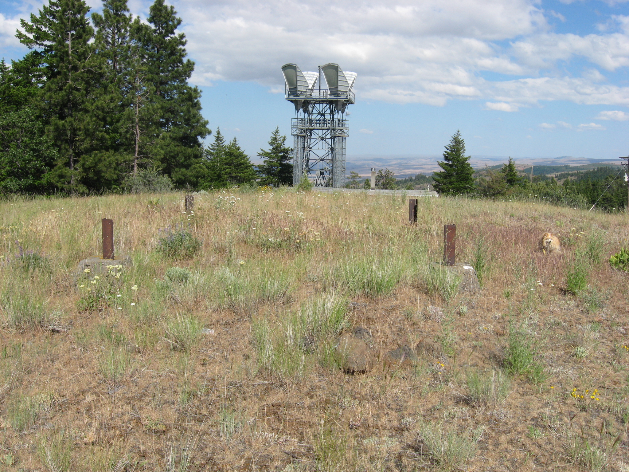 Foreman Point Lookout site 2011