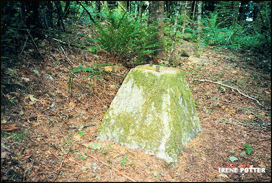 Highland Butte Lookout site