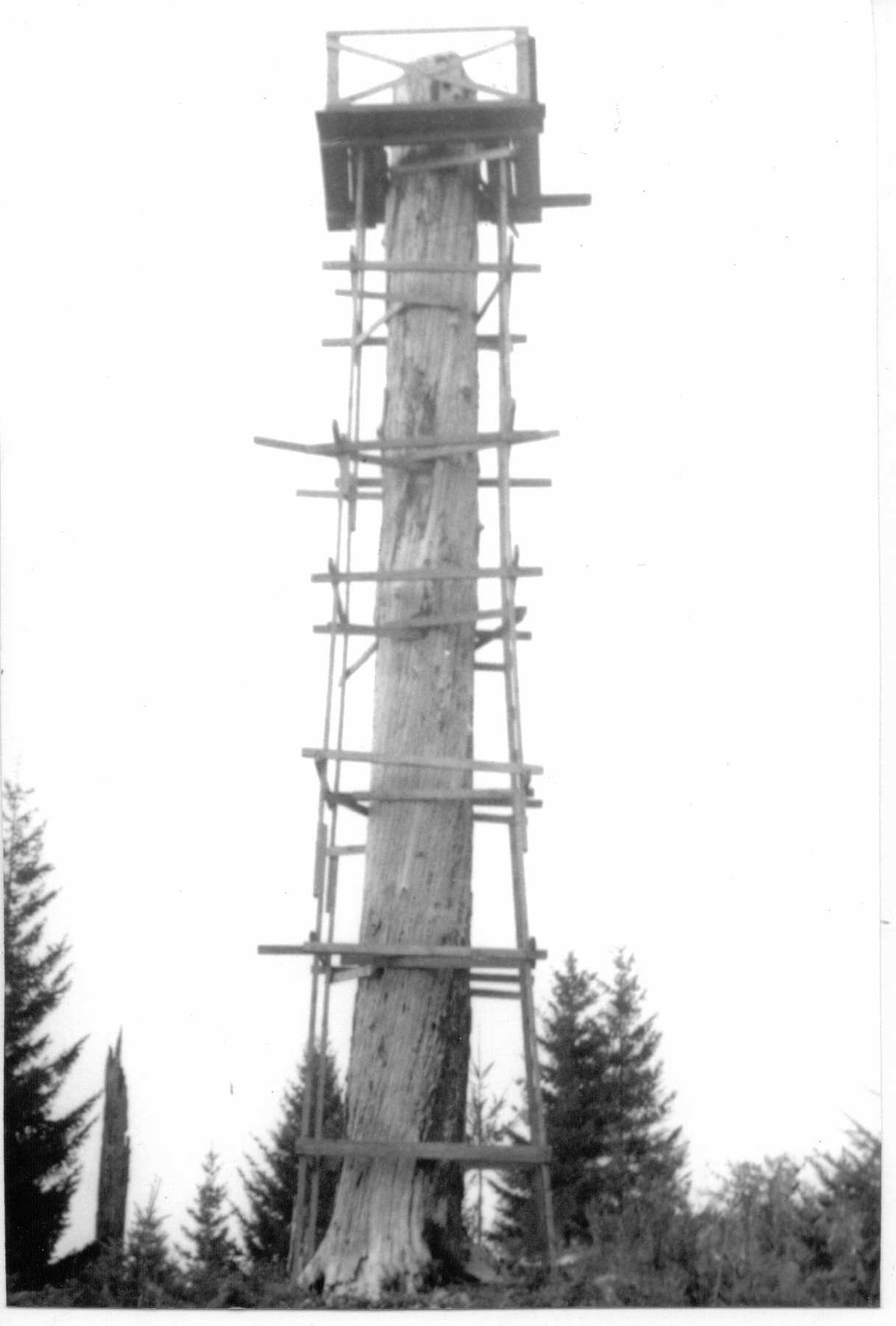 Lenhart Butte Lookout