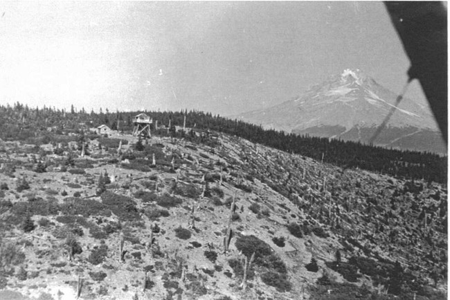 Wolf Camp Butte Lookout 1930 - 1955
