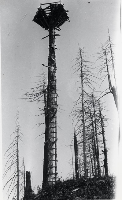 Cedar Butte Lookout 1917 - 1937