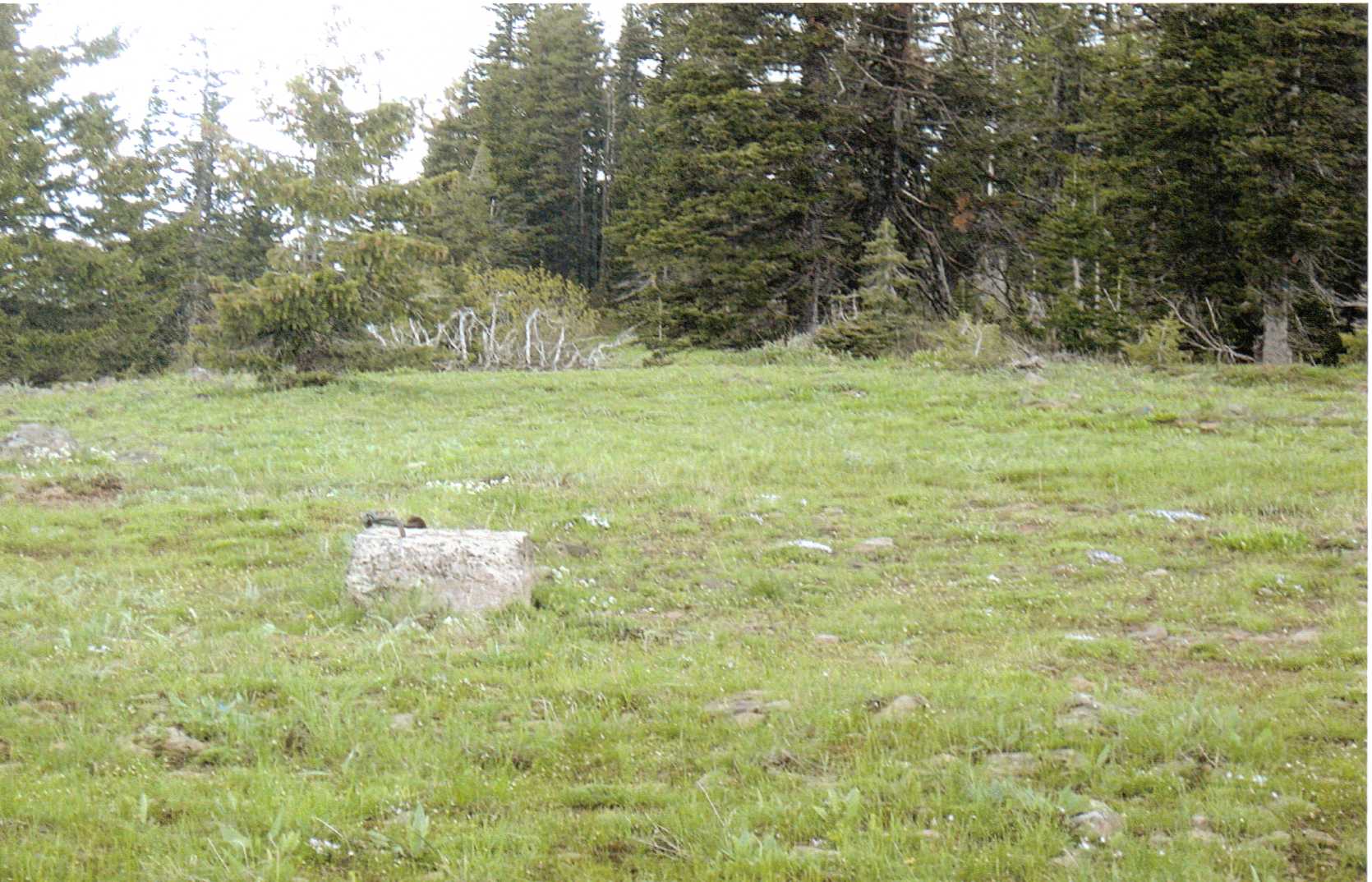 Edwards Butte Lookout site 2010
