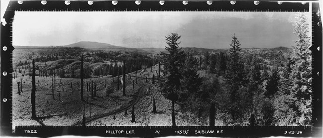 Hilltop Lookout panoramic 9-25-1936
