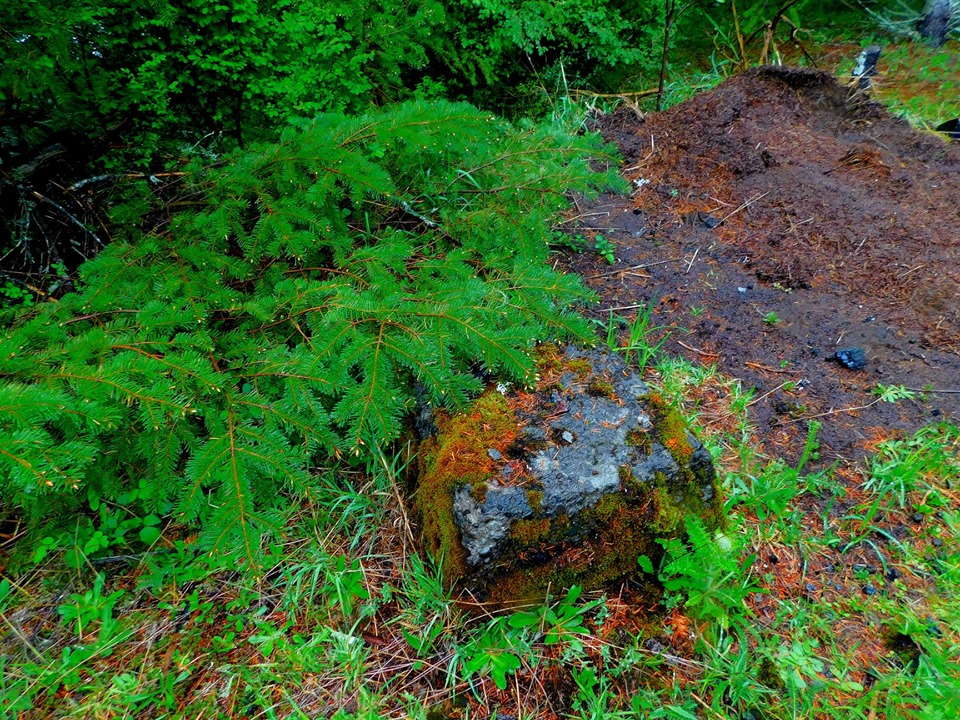 Kilchis Mountain Lookout site