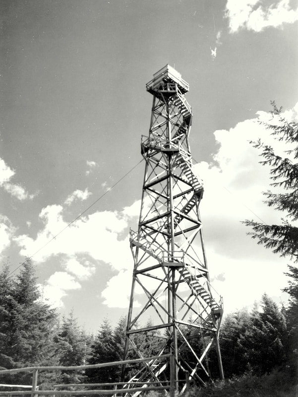 Little Hebo Lookout 1949