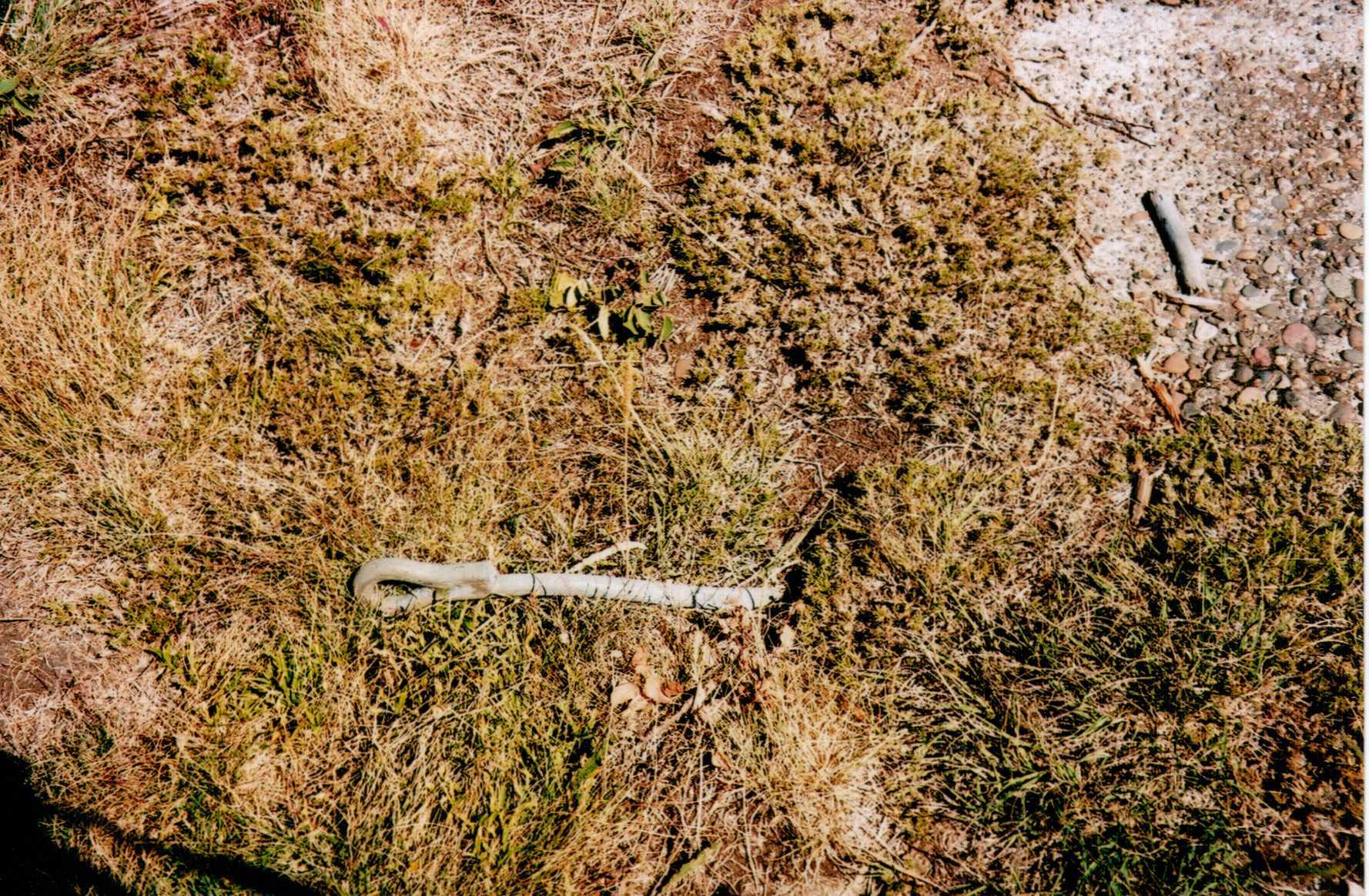 Pioneer Butte Lookout site 2008