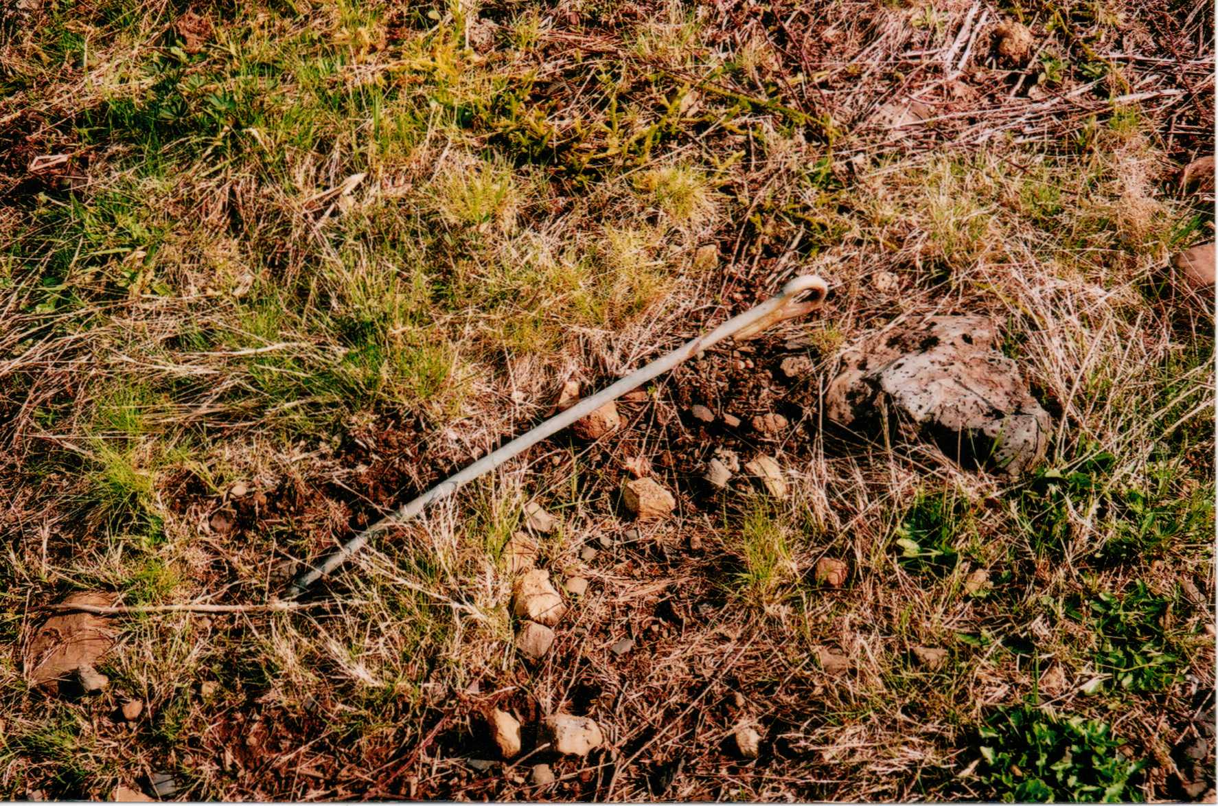 Pisgah Mountain Lookout site 2009