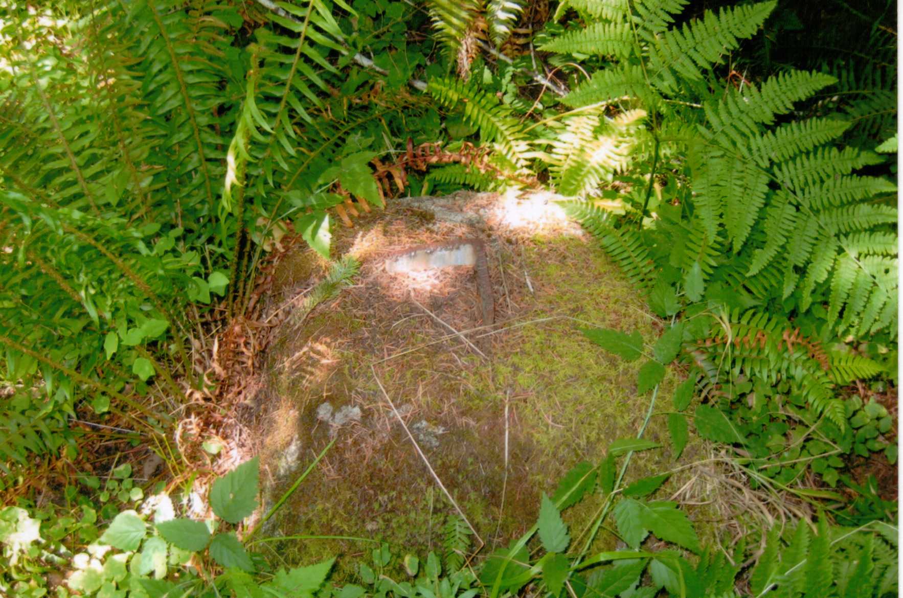 Rector Mountain Lookout site 2010