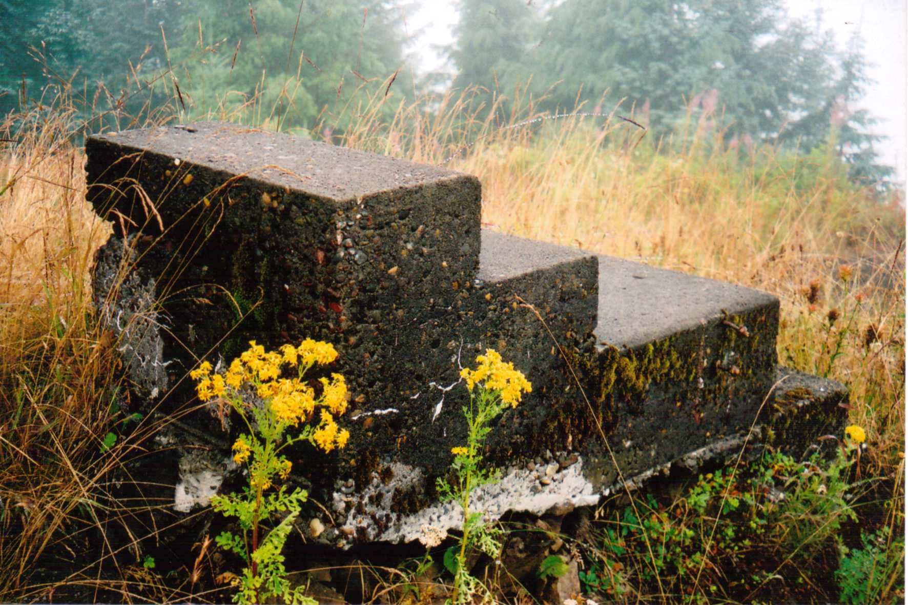 Triangulation Point Lookout site 2009