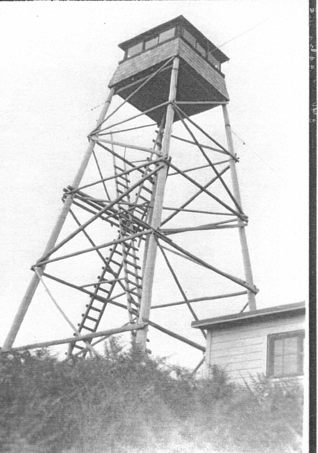 Fern Top Lookout 1944