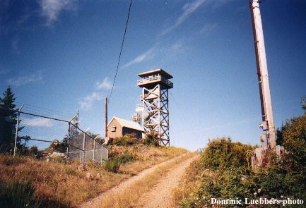 Harness Mountain Lookout 1996