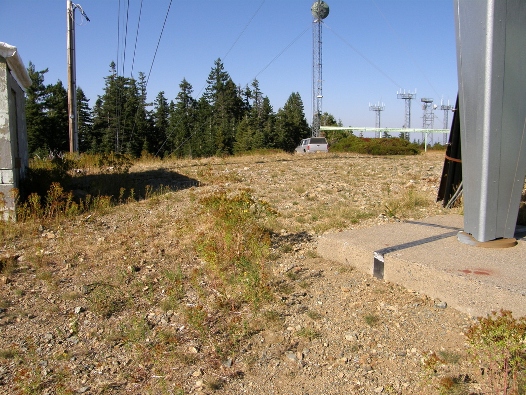 Kings Mountain Lookout site 2007