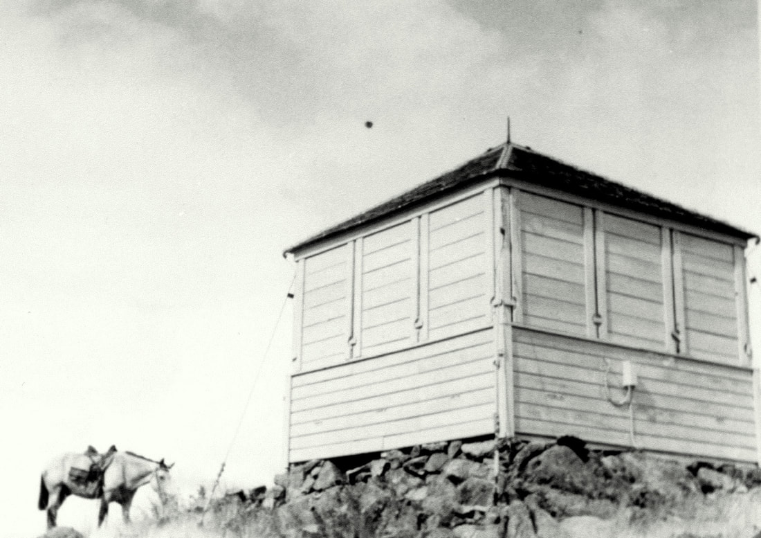 Mace Mountain Lookout 1933 - 1965