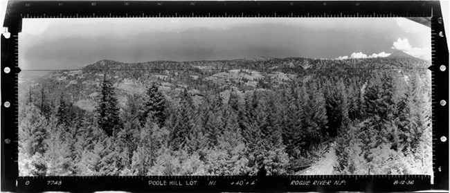 Poole Hill Lookout panoramic 8-12-1936