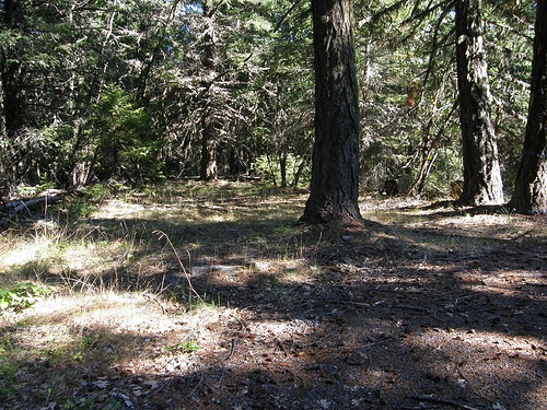 Poole Hill Lookout site 2007