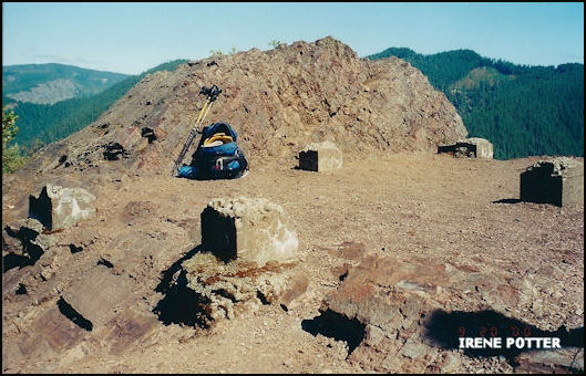 Stahlman Point Lookout site 2000