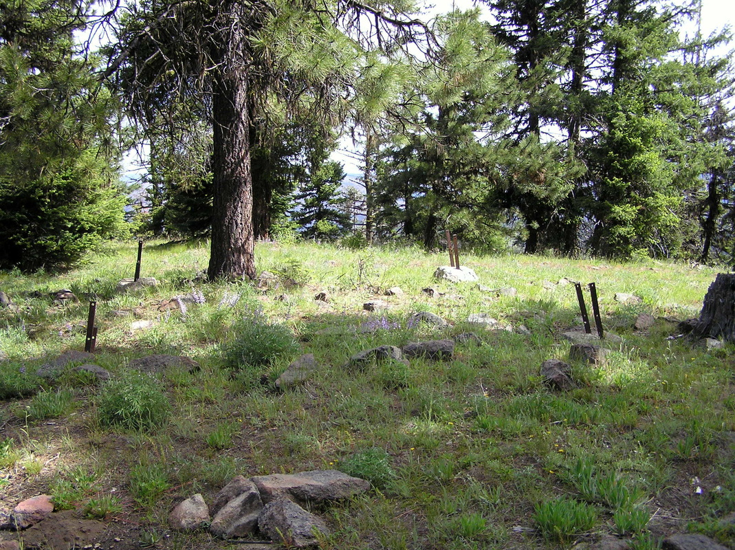 Ingram Point Lookout site 2005