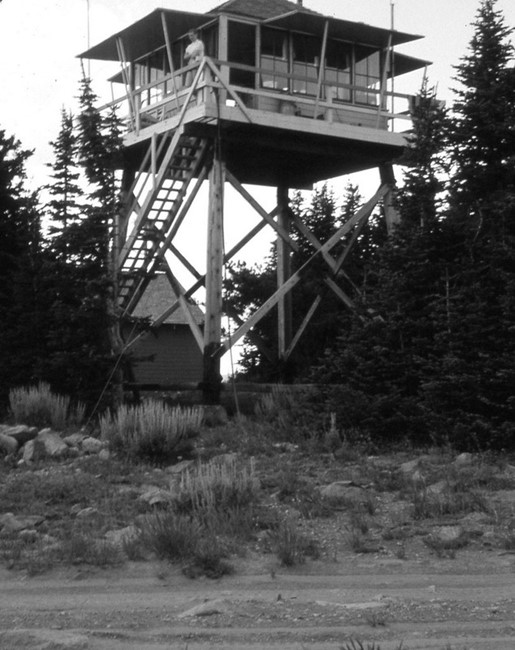 Sheep Mountain Lookout 1956