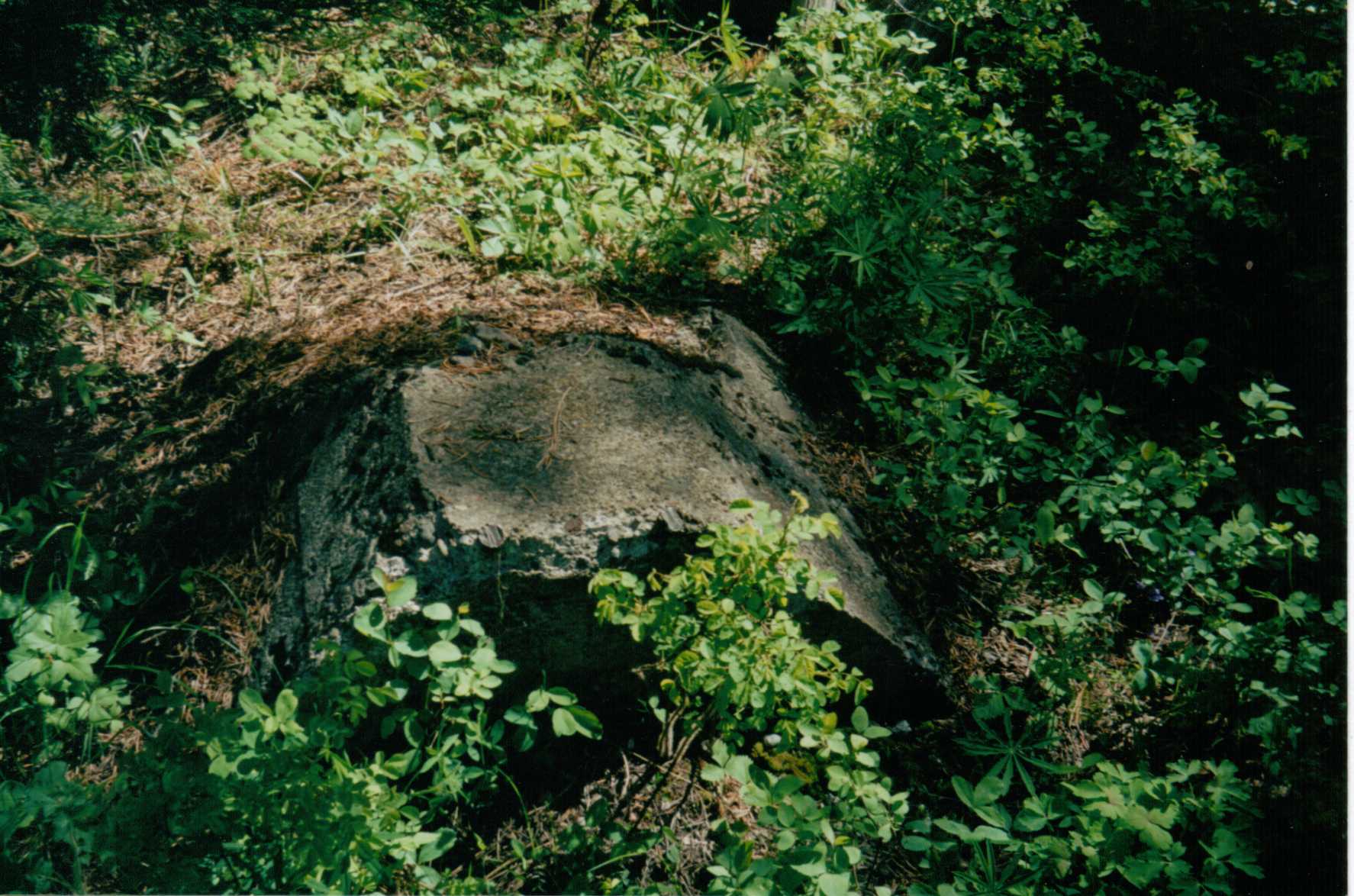 Akers Butte Lookout site 2010